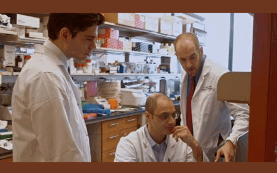 FDA genehmigt Zelboraf (Vemurafenib) für Erdheim-Chester Krankheit mit BRAF V600-Mutation
