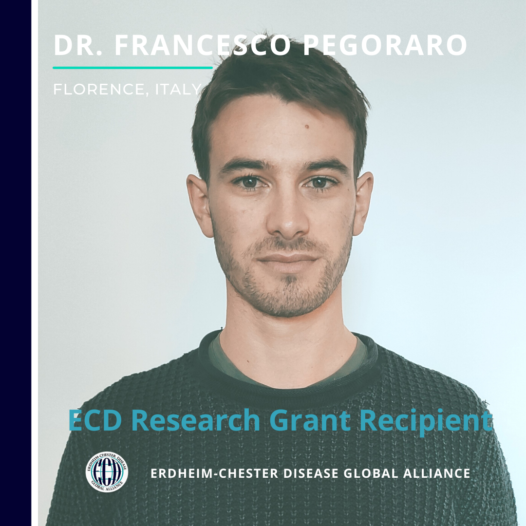 2021 ECD Research Grant Award Announcement