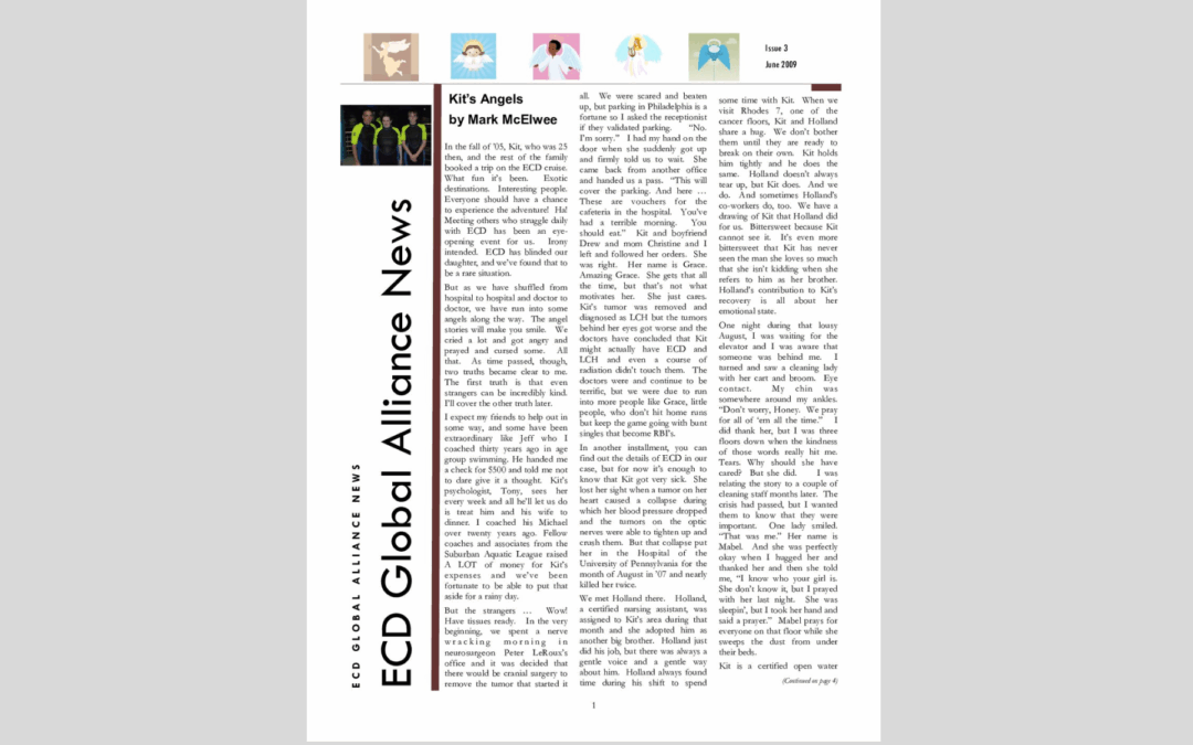 Newsletter Issue 3 – June, 2009