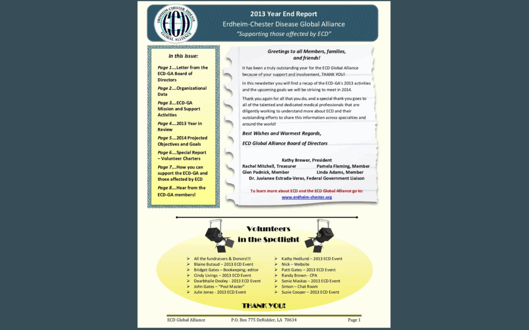 Year-End Newsletter 2013
