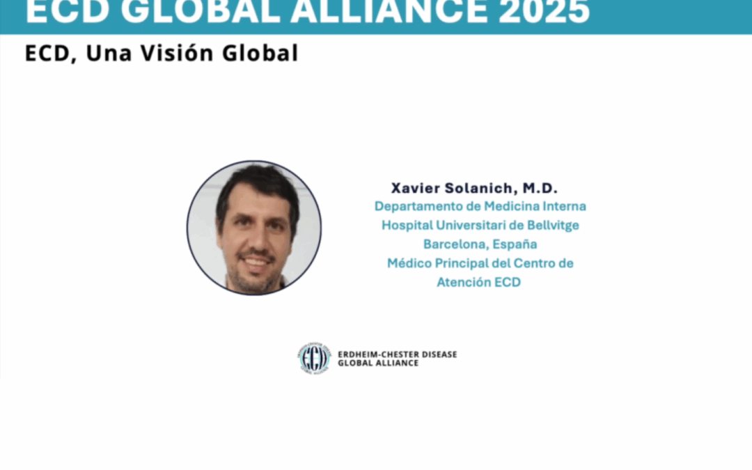 ECDEen wereldwijde visie