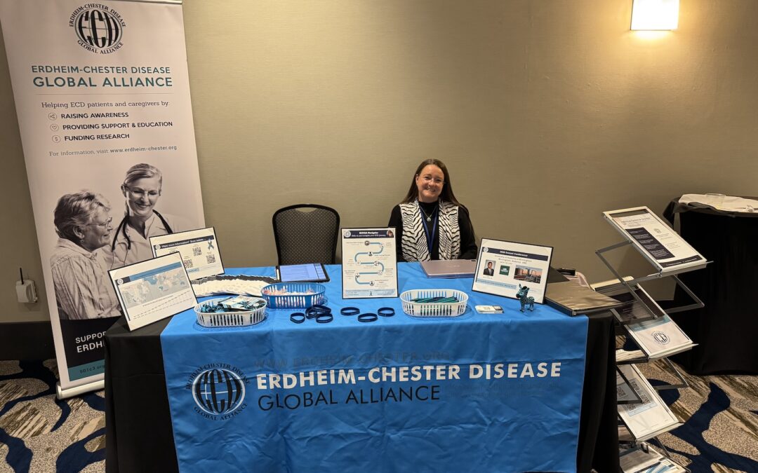 提高對 ECDGA 計劃的認識！