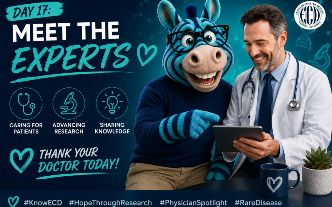 Meet the Experts
